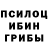 Псилоцибиновые грибы Magic Shrooms Jenny Jinx