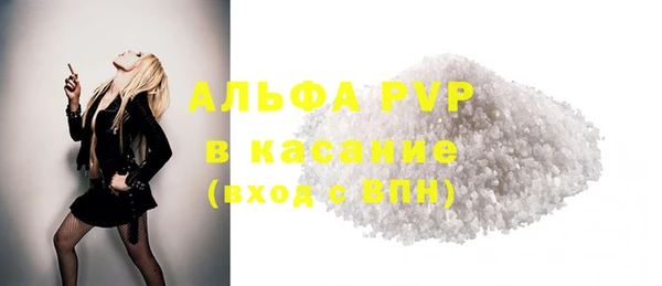 стаф Алзамай