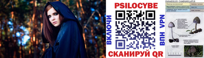 продажа наркотиков Судогда сайты даркнета состав Галлюциногенные грибы прущие грибы блэк спрут ССЫЛКА